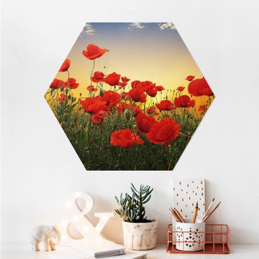 Hexagone en alu Dibond - Poppy Field In Sunset