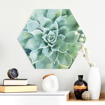 Hexagone en forex - Succulent Plant Watercolour Dark