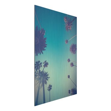 Impression sur aluminium - Tropical Plants Palm Trees And Sky II