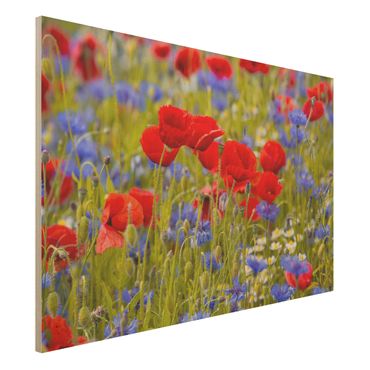 Impression sur bois - Summer Meadow With Poppies And Cornflowers