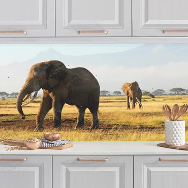 Revêtement mural cuisine - Elephants In Front Of The Kilimanjaro In Kenya