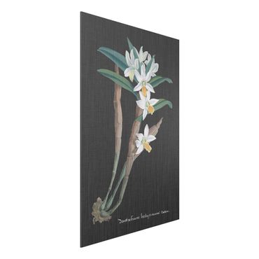 Impression sur aluminium - White Orchid On Linen I