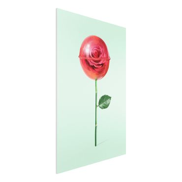 Impression sur forex - Rose With Lollipop