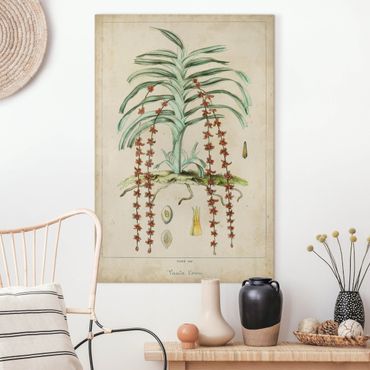 Impression sur toile - Vintage Board Exotic Palms IV