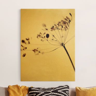 Tableau sur toile or - Macro Image Dried Flowers In Shadow