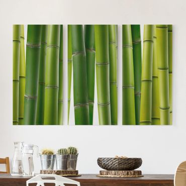 Impression sur toile 3 parties - Bamboo Plants