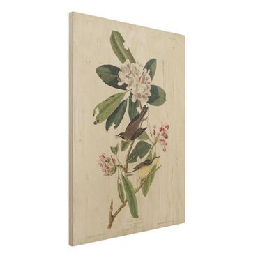Impression sur bois - Vintage Board Warbler