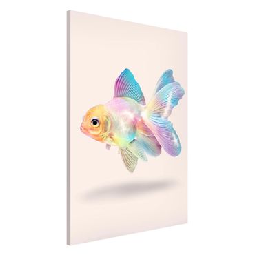 Tableau magnétique - Fish In Pastel