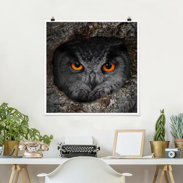 Poster - Watching Owl