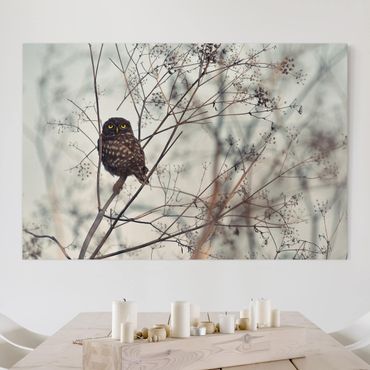 Impression sur toile - Owl In The Winter