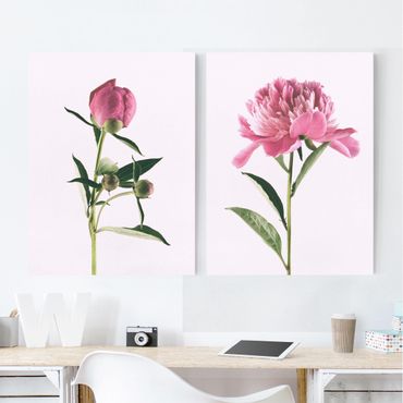 Impression sur toile - Peonies In Pink