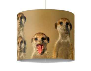 Suspension design - Meerkat Family