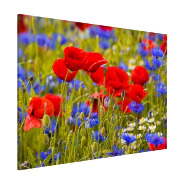 Tableau magnétique - Summer Meadow With Poppies And Cornflowers