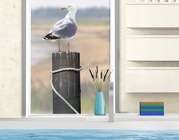 Sticker pour fenêtres - Curious Gull