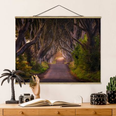 Tableau en tissu avec porte-affiche - Tunnel Of Trees
