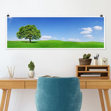 Poster panoramique nature & paysage - Panoramic