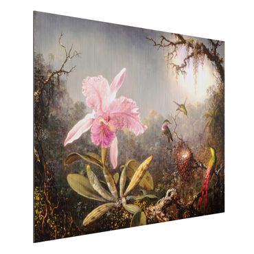 Impression sur aluminium - Martin Johnson Heade - Orchid And Three Hummingbirds