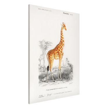 Tableau magnétique - Vintage Board Giraffe