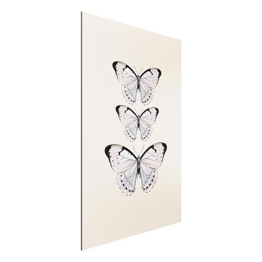 Tableau sur aluminium - Butterfly On Beige