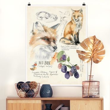 Poster fleurs - Wilderness Journal - Fox