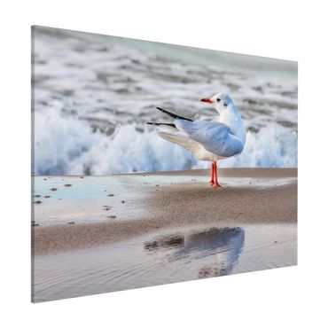 Tableau magnétique - Seagull On The Beach In Front Of The Sea