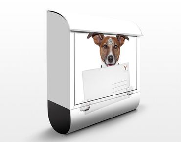 Boite aux lettres - Dog With Letter