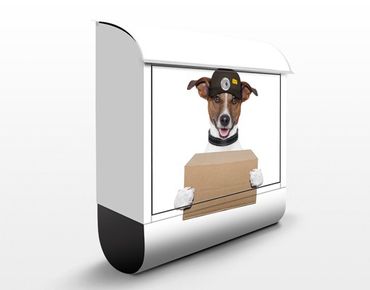 Boite aux lettres - Dog With Package