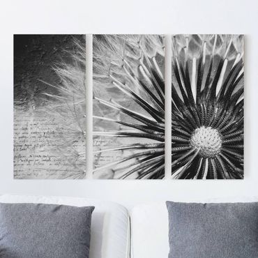 Impression sur toile 3 parties - Dandelion Black & White