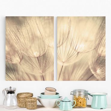 Impression sur toile 2 parties - Dandelions Close-Up In Cozy Sepia Tones