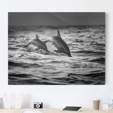 Impression sur toile - Two Jumping Dolphins