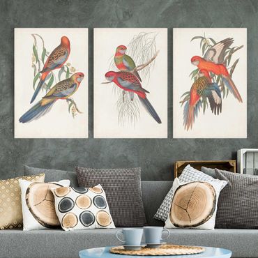 Impression sur toile - Tropical Parrot Set I
