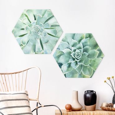 Hexagone en forex - Succulent Watercolour Set I