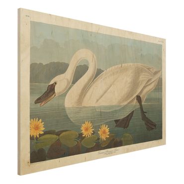 Impression sur bois - Vintage Board American Swan