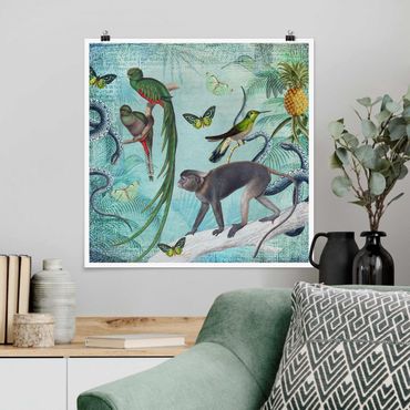 Poster - Colonial Style Collage - Monkeys And Birds Of Paradise