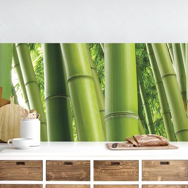 Revêtement mural cuisine - Bamboo Trees
