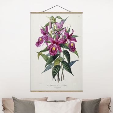 Tableau en tissu avec porte-affiche - Maxim Gauci - Orchid I