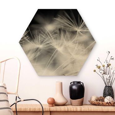Hexagone en bois - Moving Dandelions Close Up On Black Background
