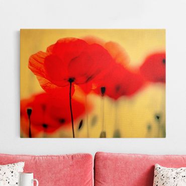 Tableau sur toile or - Magic Poppies