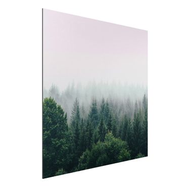 Tableau sur aluminium - Foggy Forest Twilight