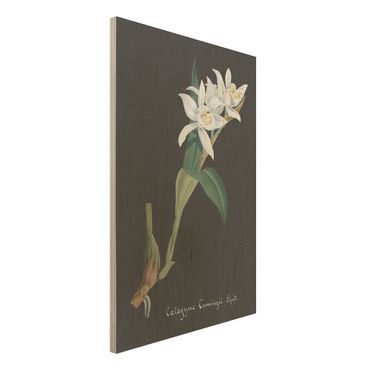 Impression sur bois - White Orchid On Linen II
