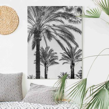 Impression sur toile - Palm Trees At Sunset Black And White