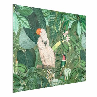 Impression sur forex - Vintage Collage - Kakadu And Hummingbird