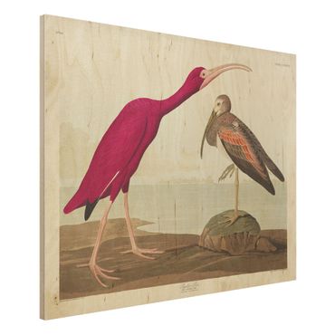 Impression sur bois - Vintage Board Red Ibis