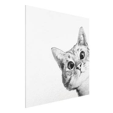 Impression sur forex - Illustration Cat Drawing Black And White