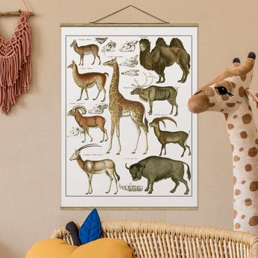 Tableau en tissu avec porte-affiche - Vintage Board Giraffe, Camel And IIama