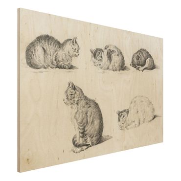 Impression sur bois - Vintage Drawing Cat I