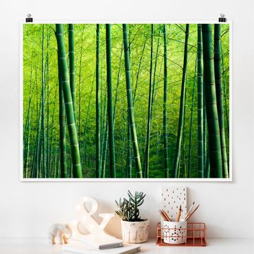 Poster - Bamboo Forest