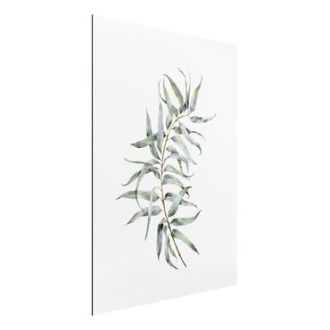 Tableau sur aluminium - Waterclolour Eucalyptus lV