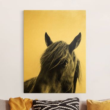 Tableau sur toile or - Curious Horse