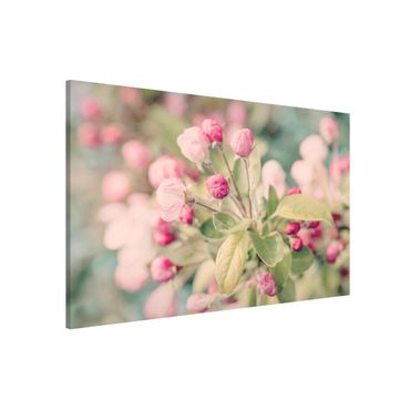 Tableau magnétique - Apple Blossom Bokeh Light Pink